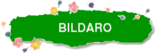 bildaro PJE