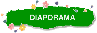 diaporama PJE